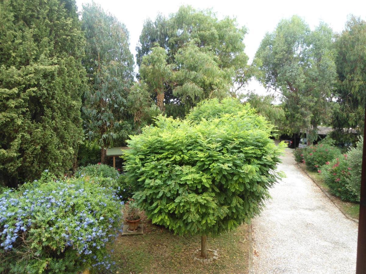 Agriturismo Le Pescine วาดา ภายนอก รูปภาพ
